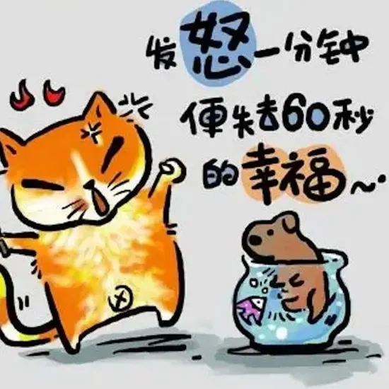 最新电视剧